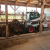 Bobcat_Skid-Steer_Loaders_-_S590_1